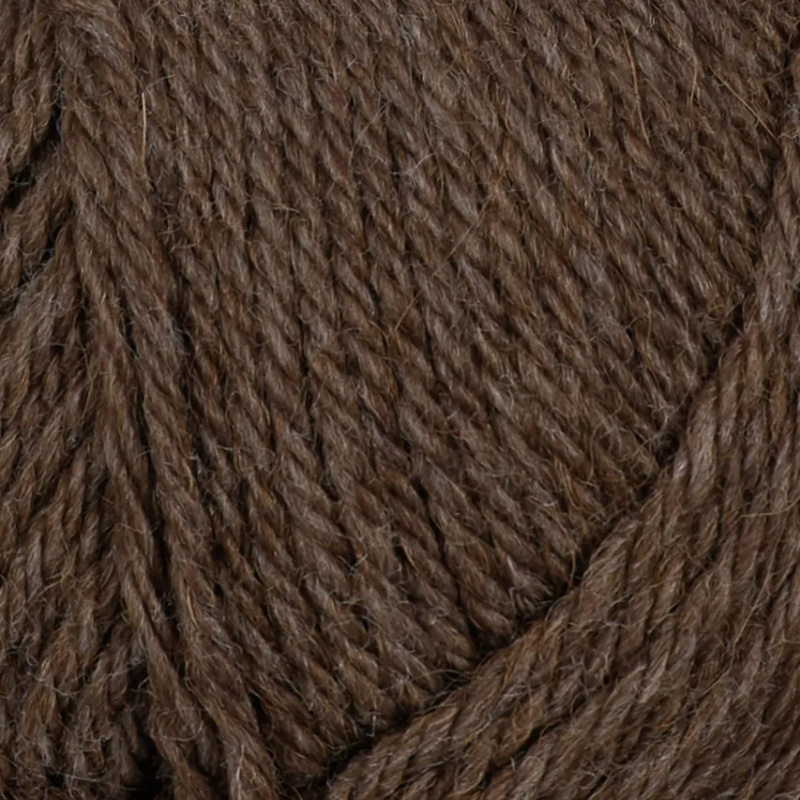 508 - Brun