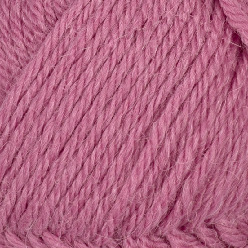 563 - Rosa