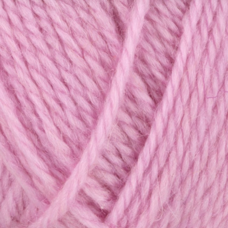 563 - Rosa